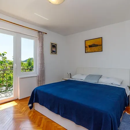 Apartment Vivi With Terrace Daire